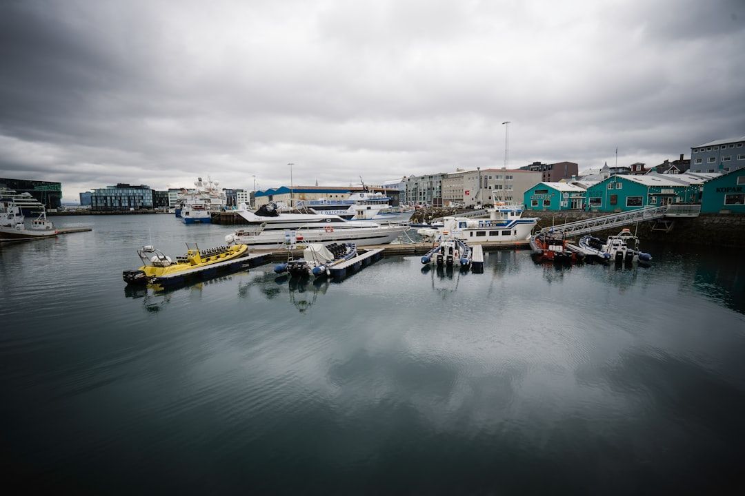 The car problem in Reykjavík