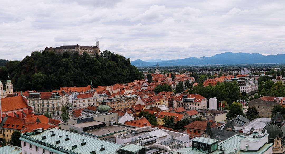 Where the cost splits badly in Ljubljana