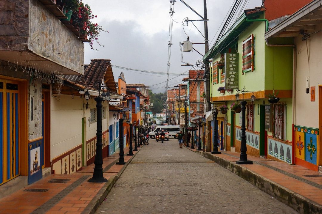 The bus network in La Fortuna